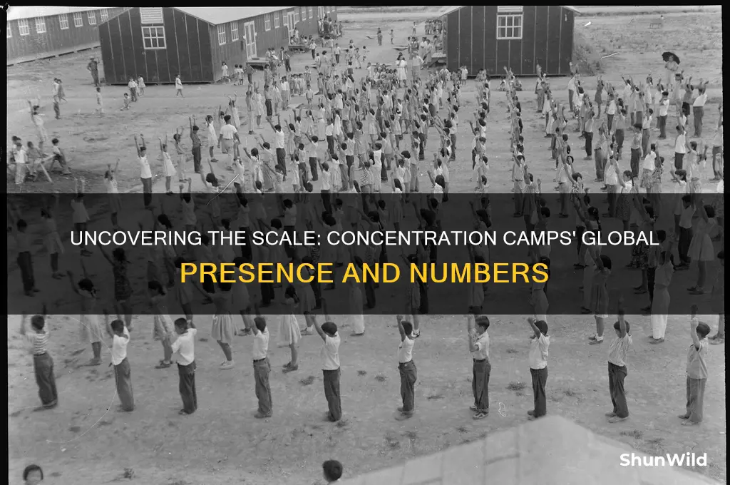 how much concentration camps were there
