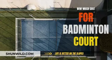 Cost of a Badminton Court: How Much?