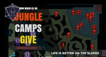 Understanding Jungle Camp CS Gains in League of Legends