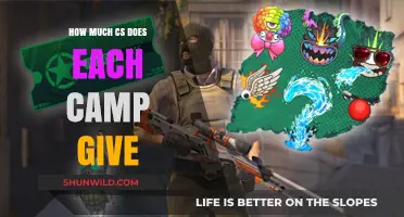 Comparing CS Rewards: How Much Each Camp Offers Players