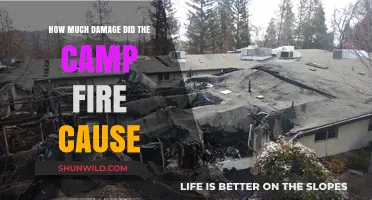 Camp Fire's Devastation: Assessing the Extensive Damage and Impact