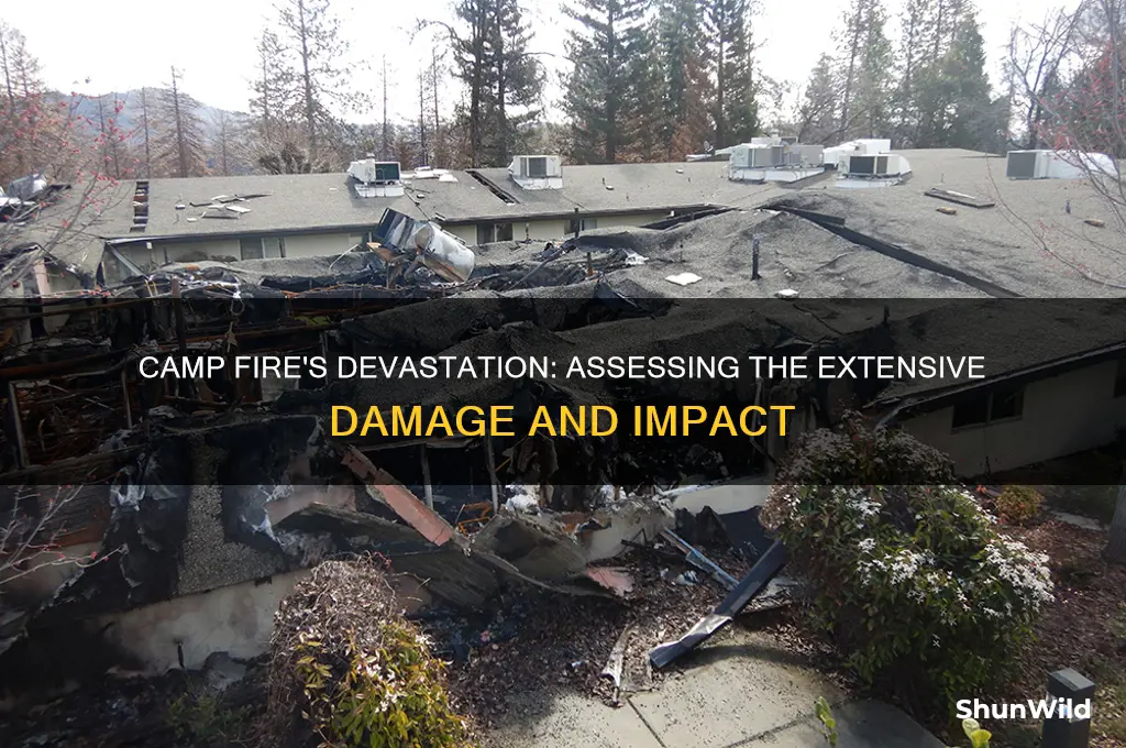 how much damage did the camp fire cause