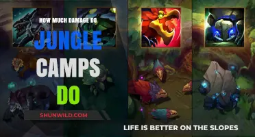 Jungle Camp Damage: Understanding the Impact on Your Game Strategy