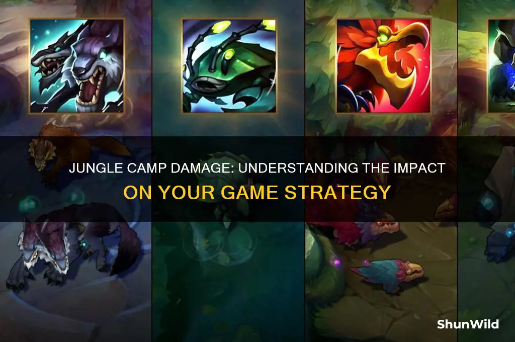 how much damage do jungle camps do