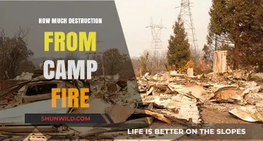 Camp Fire's Devastation: Assessing the Scale of Destruction and Loss