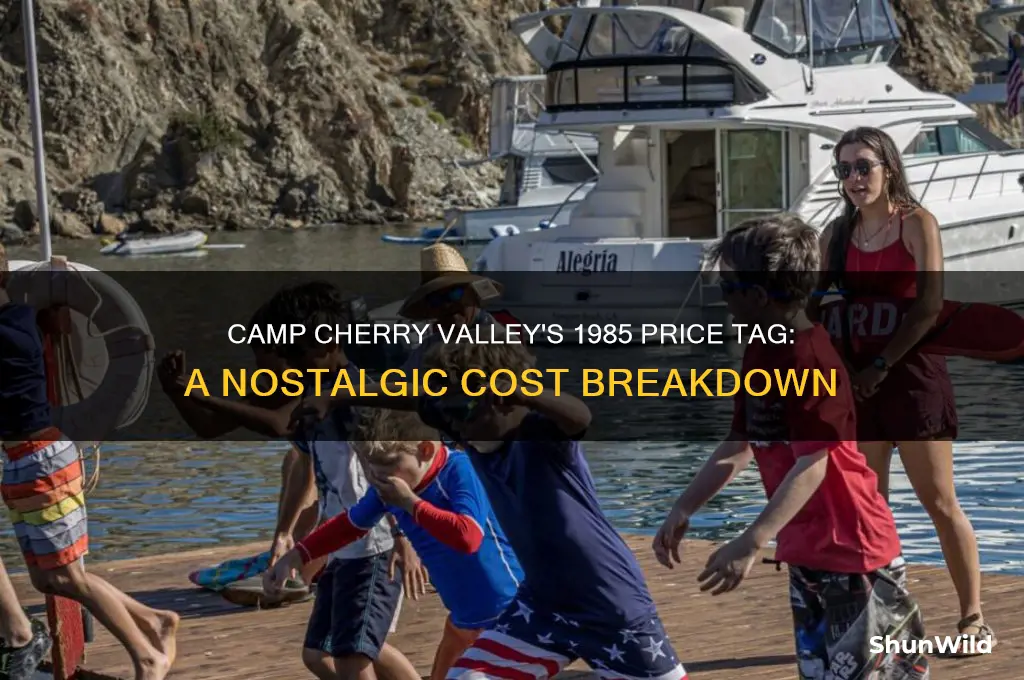 how much did camp cherry valley cost in 1985