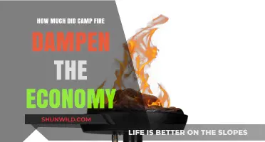 Camp Fire's Economic Impact: Assessing the Devastation and Recovery Challenges