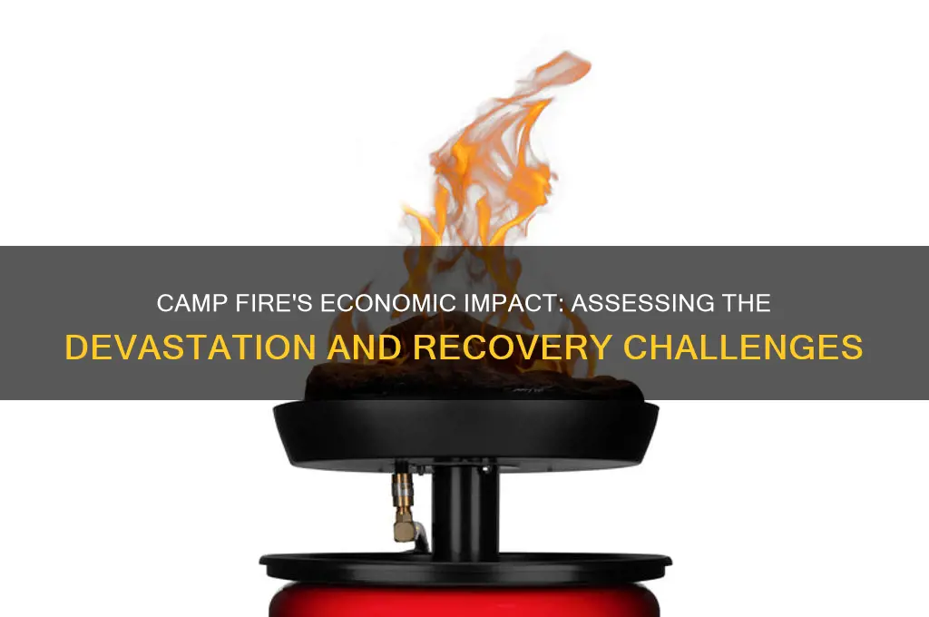 how much did camp fire dampen the economy