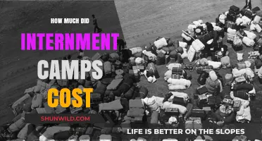 The Hidden Economic Toll of Internment Camps: A Costly History