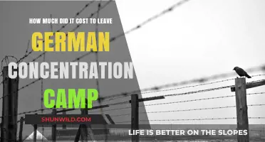 Escaping Nazi Camps: The Hidden Costs of Freedom Revealed