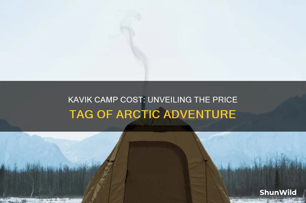 how much did kavik camp cost