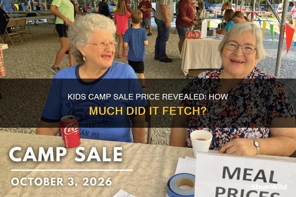 how much did kids camp sell for