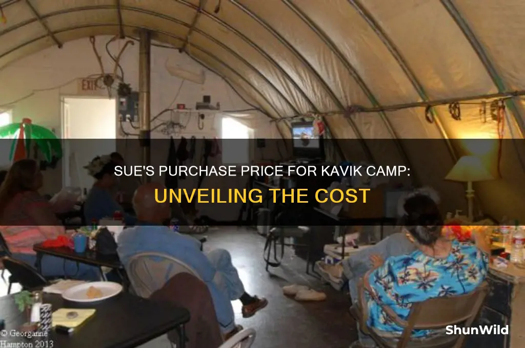 how much did sue pay for kavik camp