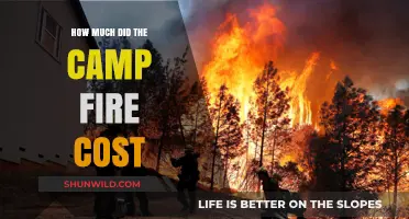 Camp Fire's Financial Impact: Analyzing the Devastating Economic Costs
