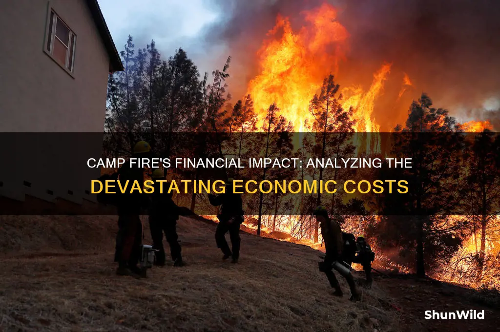 how much did the camp fire cost