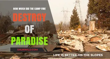 Camp Fire's Devastation: Paradise's Loss and the Scale of Destruction