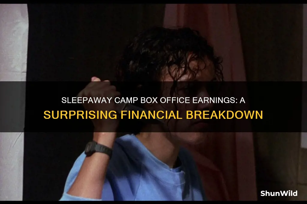 how much did the movie sleepaway camp make