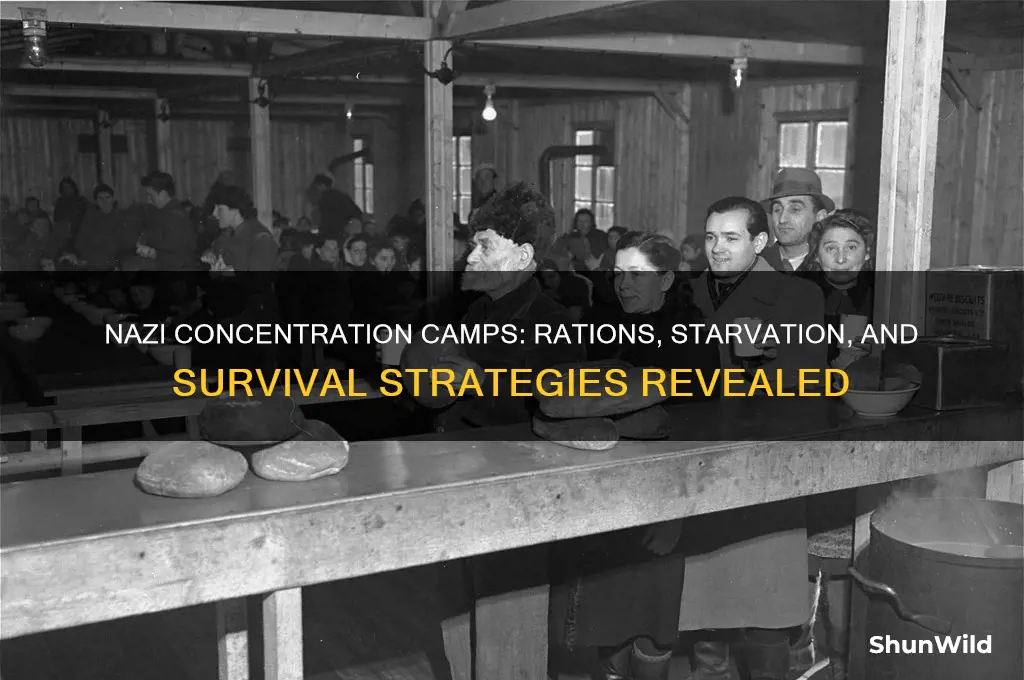 how much did the nazis feed people in concentration camps