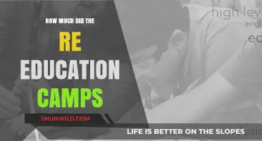 The Cost of Re-Education Camps: Unveiling the Financial Impact