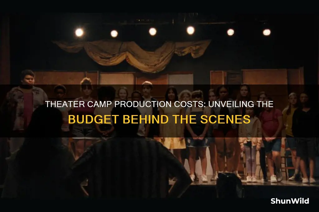 how much did theater camp cost to make