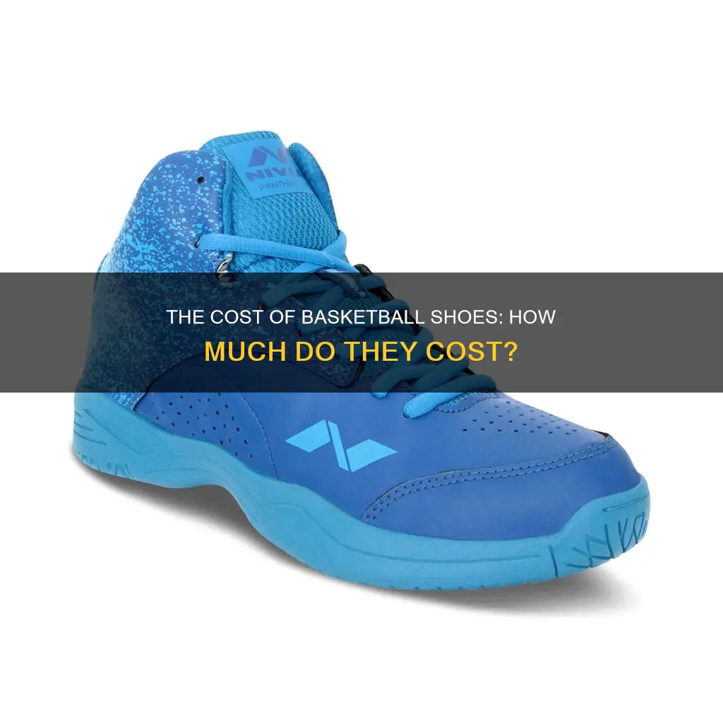 how much did you pay for your basketball shoes