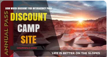 Interagency Pass Discounts: How Much Can You Save on Campsites?