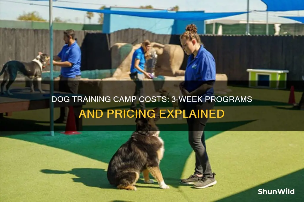 how much do 3 weeks dog training camp cost