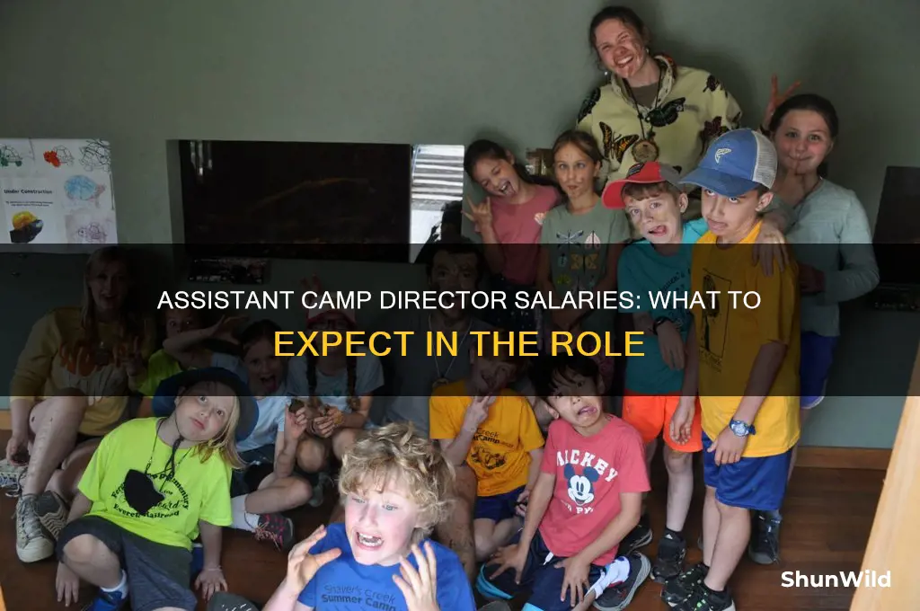 how much do assistant camp directors make