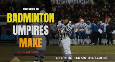 Lucrative Earnings of Badminton Umpires