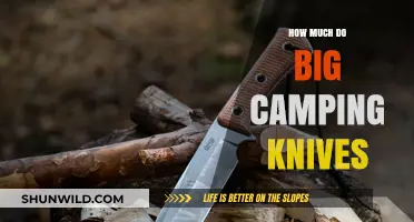 Big Camping Knives: Cost, Quality, and Value for Outdoor Enthusiasts