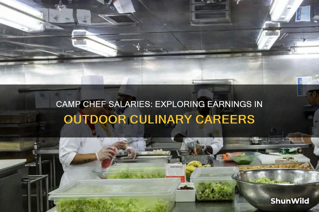 how much do camp chefs earn