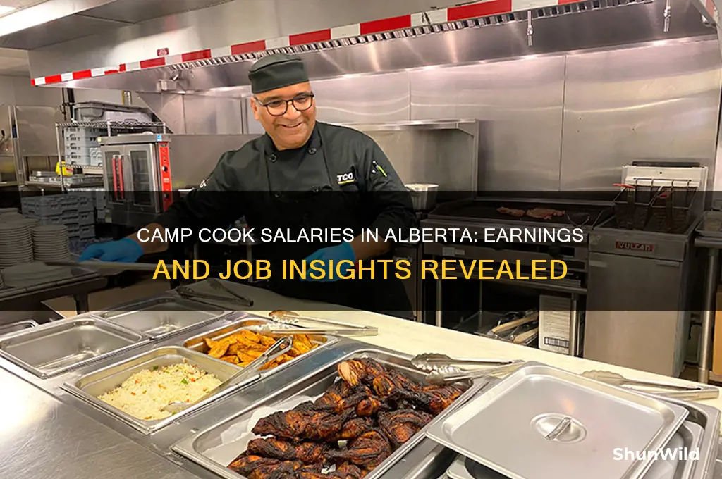 how much do camp cooks make in alberta