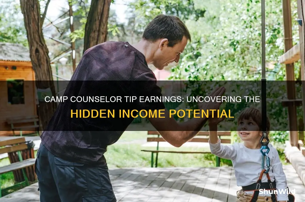 how much do camp counselors make in tips