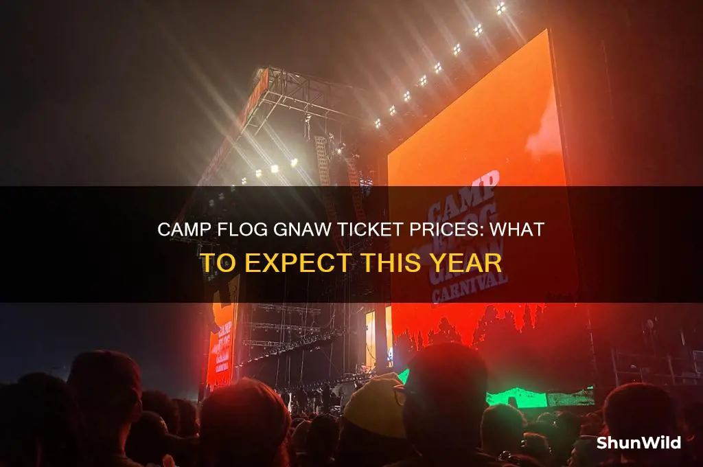 how much do camp flog gnaw tickets cost