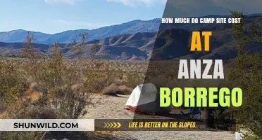 Anza-Borrego Camping Costs: Affordable Desert Adventures Await You