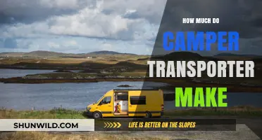 Camper Transporter Earnings: Unveiling the Income Potential in the Industry
