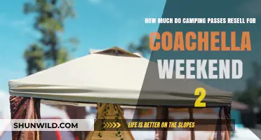 Coachella Weekend 2 Camping Passes Resale Prices: What to Expect