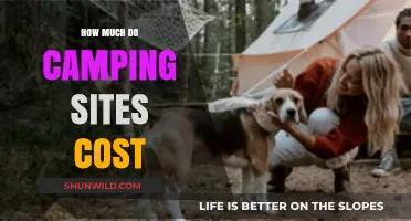 Camping Site Costs: Budget-Friendly Options to Luxury Stays Explained