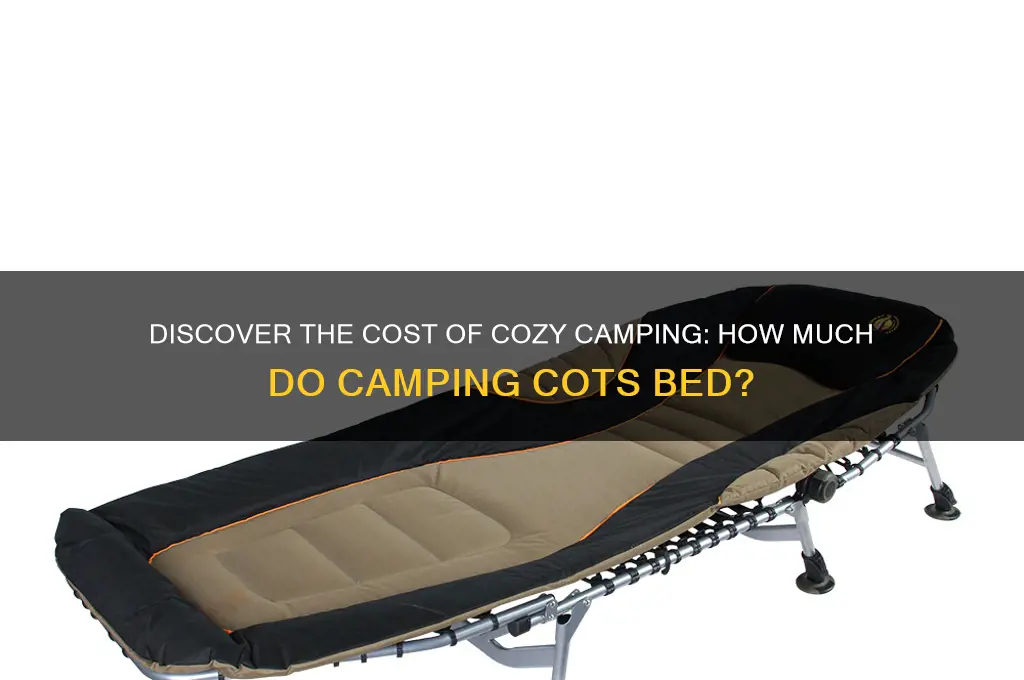 how much do caouts bed for camping