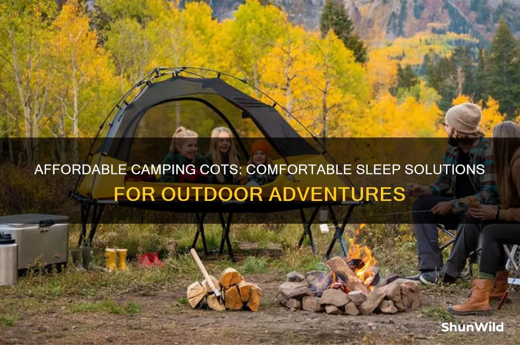 how much do cots bed for camping