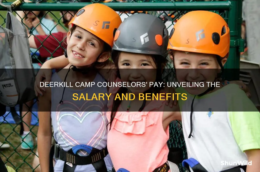 how much do counselors get paid at deerkill camp