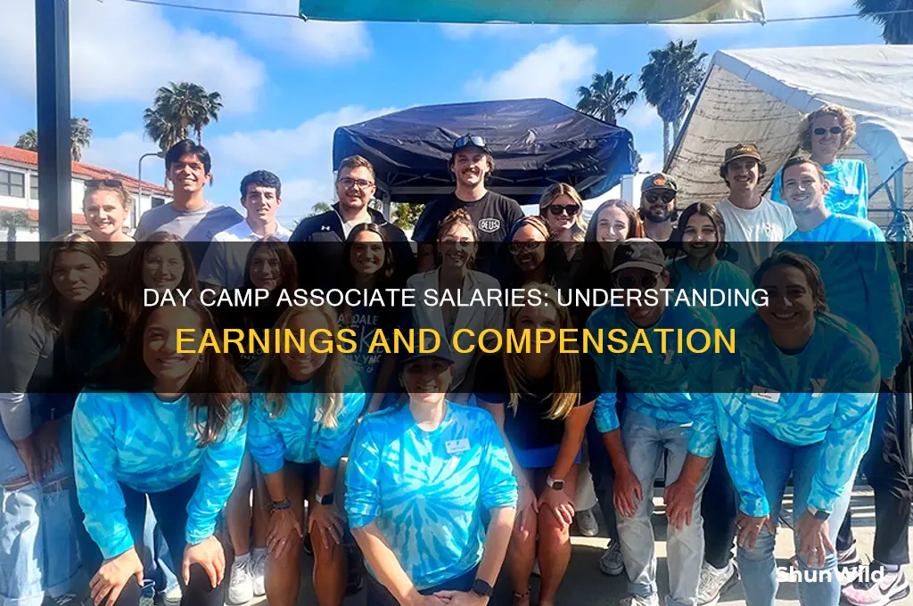 how much do day camp associates make