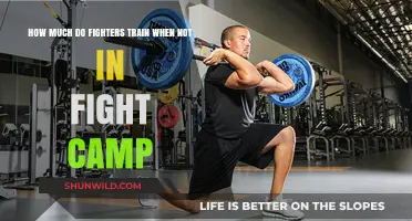 Fighters' Off-Season Training: Unveiling Their Year-Round Dedication and Workout Regimen