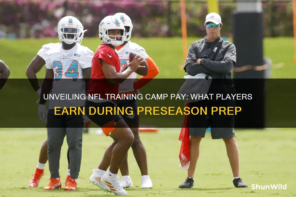 how much do football players get paid for training camp