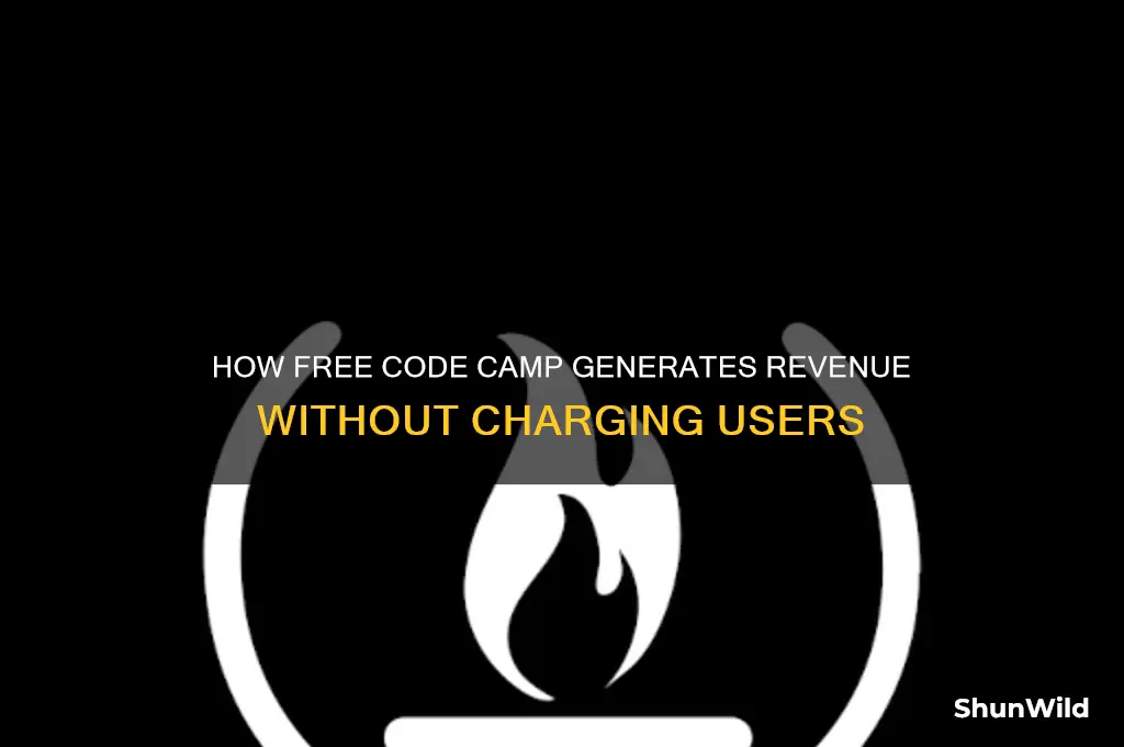 how much do free code camp make