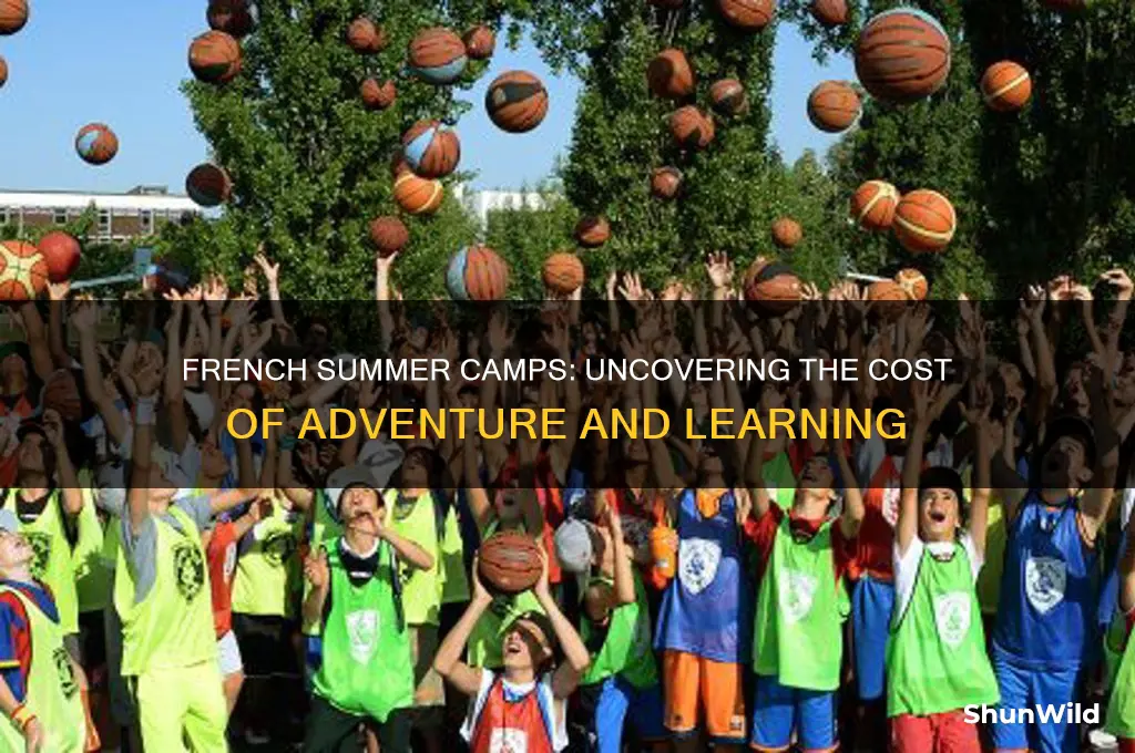 how much do french summer camps cost