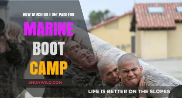 Marine Boot Camp Pay: Understanding Your Earnings During Training