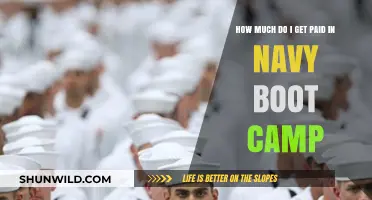 Navy Boot Camp Pay: Understanding Your Earnings During Training