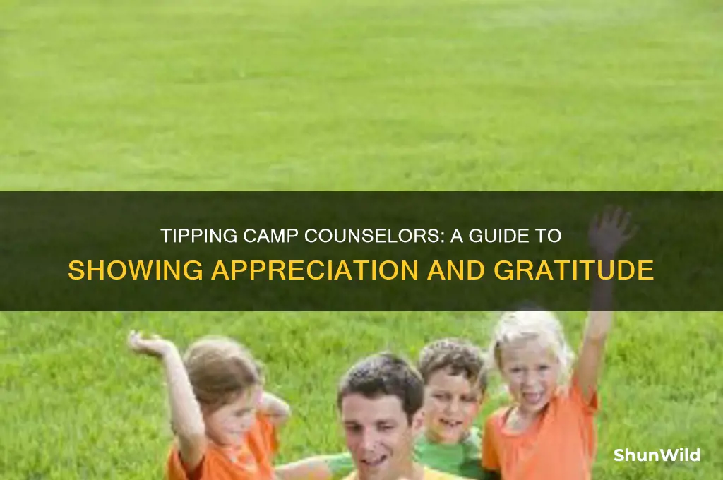 how much do i tip camp counselor