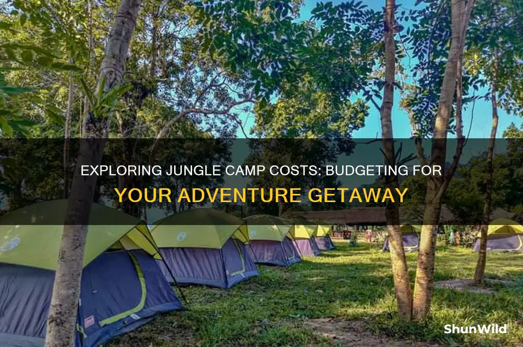 how much do jungle camps cost